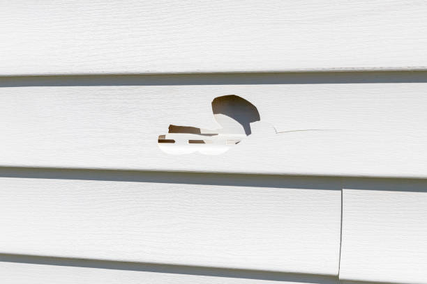 Best Fiber Cement Siding Installation  in Moonachie, NJ